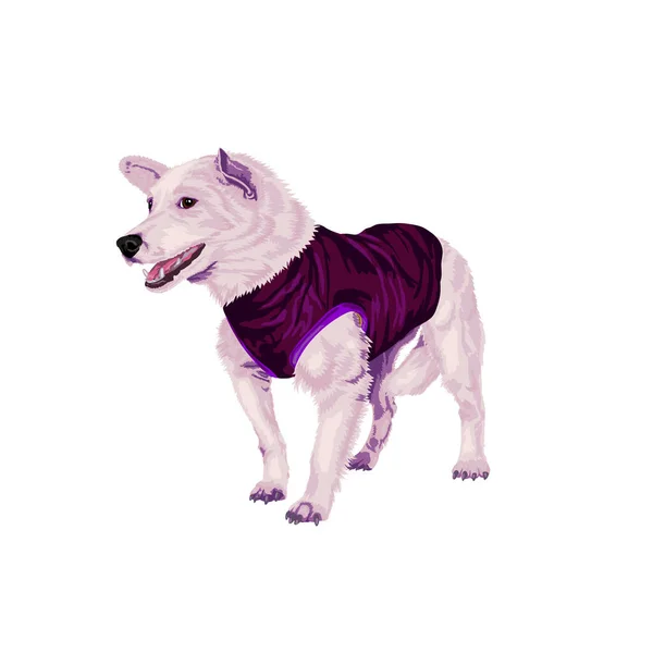 Staande Bastaard Een Jasje Mongool Hond Vest Vector Illustratie Van — Stockvector