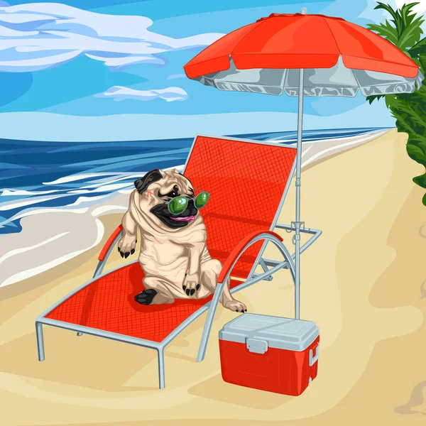 在海滩上躺在太阳镜上晒太阳 在海滩上的伞下靠靠在躺椅扶手上的呕吐犬的病媒图解 帕格拿着便携式冰箱躺在海滩上 把爪子靠在遮阳伞下的日光浴者的胳膊上 — 图库矢量图片