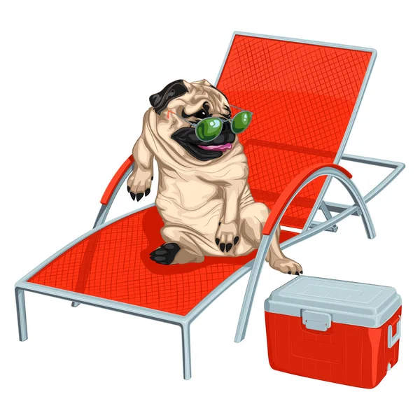 Pug Relaxante Espreguiçadeira Óculos Sol Ilustração Vetorial Cão Pug Apoiado — Vetor de Stock