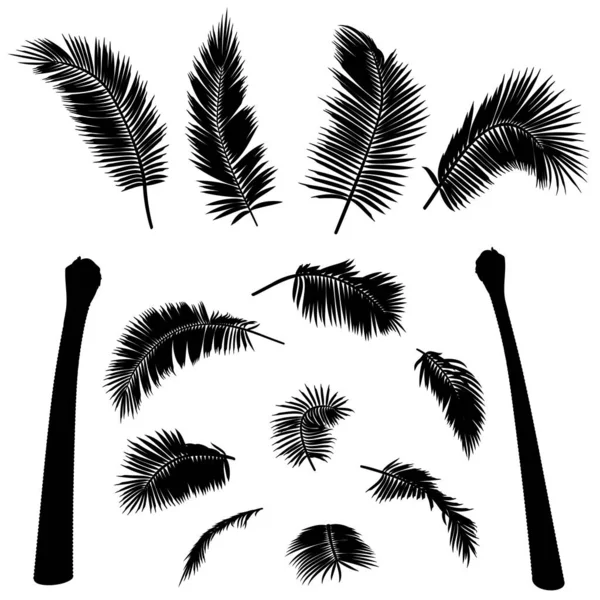 Form Von Geraden Kokospalmen Elementen Vektorillustration Von Palmenstamm Laub Ästen — Stockvektor