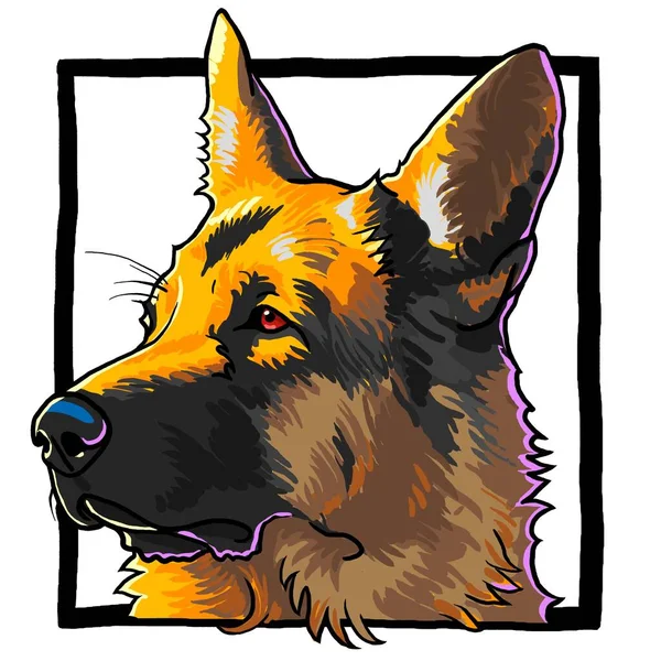 German Shepherd Dog Head Frame — Stok fotoğraf
