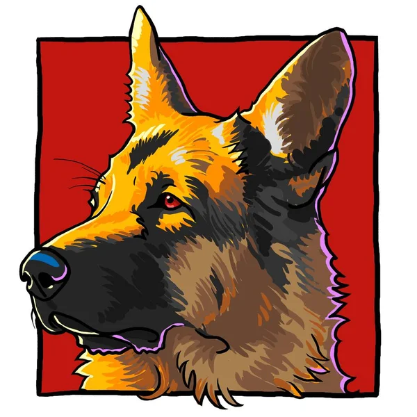 German Shepherd Dog Head Frame — Φωτογραφία Αρχείου