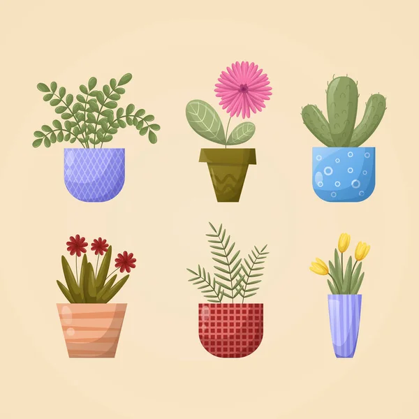 Fleurs Pots Des Plantes Maison Ensemble Illustrations Vectorielles Multicolores Couleurs — Image vectorielle