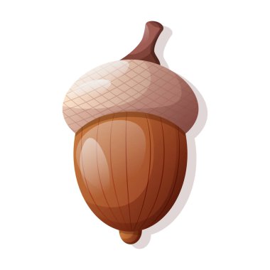 Beyaz arka planda sonbahar palamudu. Vektör tek illüstrasyon. Simge, çizim, grafik ögesi.