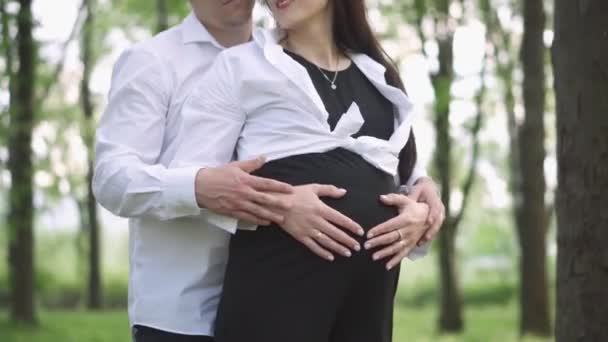 一个怀孕的女人和她的丈夫在公园里休息 照顾怀孕的妻子 一个年轻的家庭在等待孩子的出生 相互理解 休闲的概念 — 图库视频影像