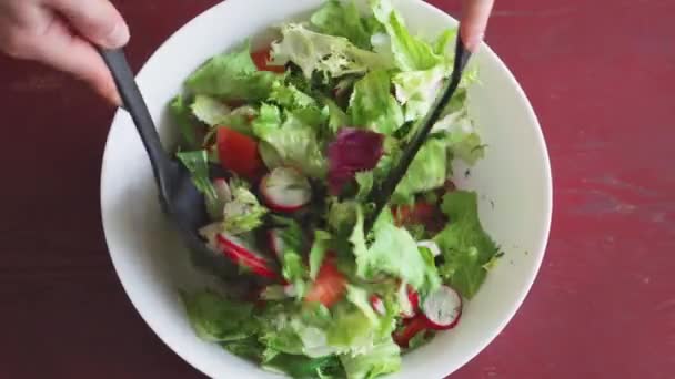 Świeża Sałatka Warzywna Zbliżenie Zdrowego Lunchu Rzodkiewek Pomidorów Sałaty Ziół — Wideo stockowe