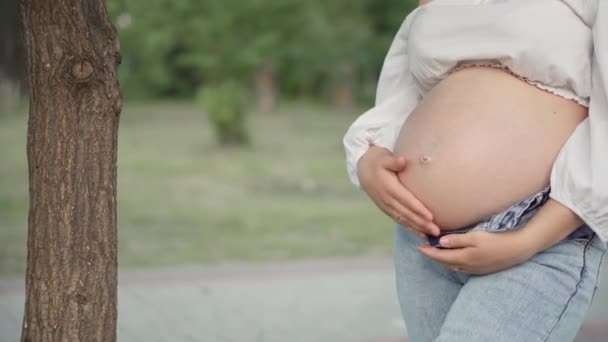 Beautiful Pregnant Woman Park River Future Mother Waiting Birth Baby — Stock Video