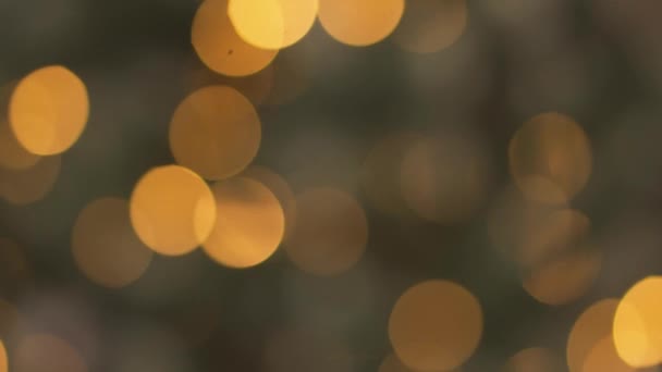 Luces Navidad Borrosas Hadas Bokeh Luz Árbol Navidad Brillantes Círculos — Vídeos de Stock
