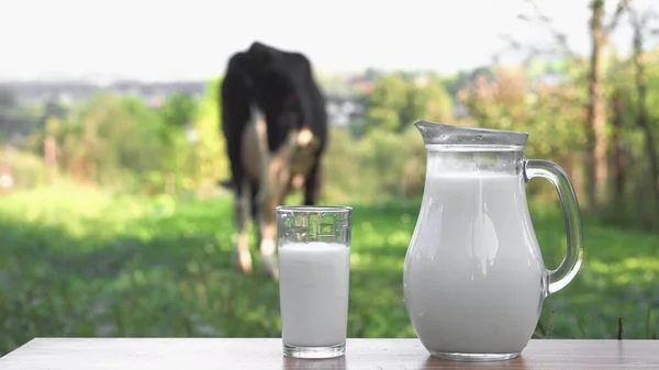 Смачний Сніданок Приготований Молочних Продуктів Свіже Молоко Карафе Келих Дерев — стокове фото