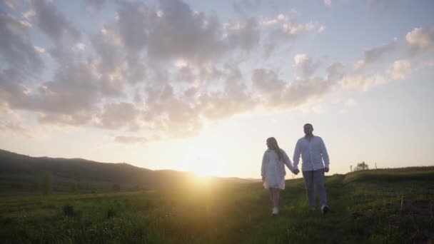Birbirine Aşık Bir Erkek Kız Yazın Doğada Yürüyor Sarılıyor Dinleniyorlar — Stok video