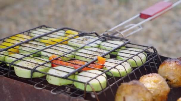 Delicious Juicy Grilled Vegetables Vegetable Mushroom Skewers Prepared Grill Most — Stok video