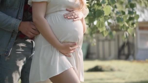 Schöne Schwangere Frau Park Fluss Die Zukünftige Mutter Wartet Auf — Stockvideo