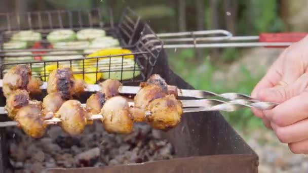 Delicious Juicy Grilled Vegetables Vegetable Mushroom Skewers Prepared Grill Most — Stok video