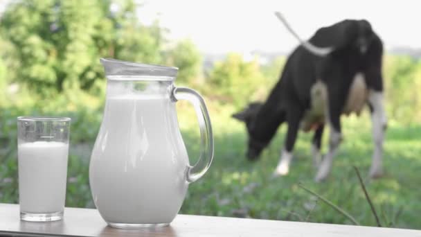 Pyszna Dieta Śniadaniowa Produktów Mlecznych Świeże Mleko Karafce Szklanka Drewnianym — Wideo stockowe