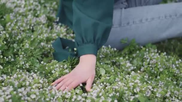 Красивая Брюнетка Девушка Природе Среди Травы Цветов Идет Посреди Поля — стоковое видео