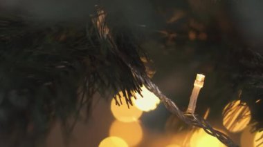 Bir Noel ağacından gelen ışık bokeh. Bulanık Noel ışıkları. Parıldayan soyut renkli daireler noel ışıklarının dikkatini dağıttı. Odak dışı tatil dekoru, tema ve konsept geçmişi.