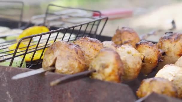 Mantarlar Ateşte Kızardı Lezzetli Sulu Izgara Sebzeler Mantarlı Sebze Kebabı — Stok video