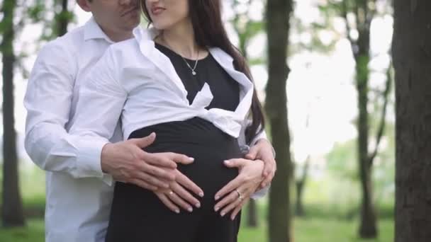 Una Mujer Embarazada Con Marido Descansa Parque Naturaleza Cuidar Una — Vídeos de Stock