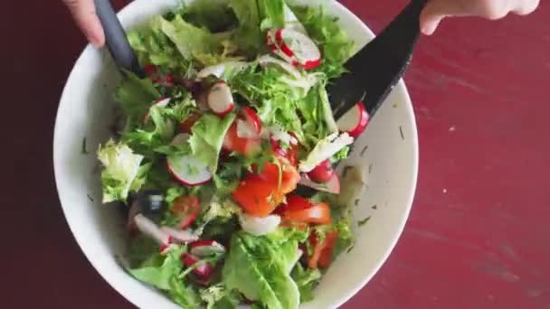 Fresh Vegetable Salad Close Healthy Lunch Radishes Tomatoes Lettuce Herbs — Stock Video