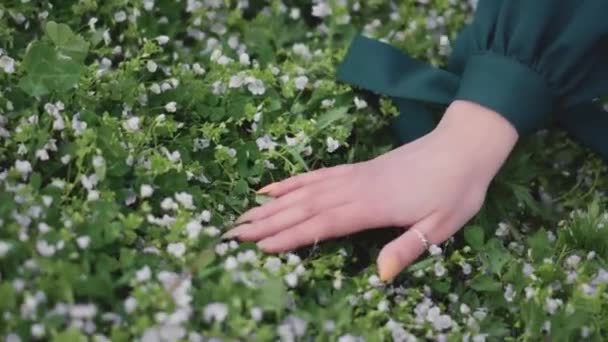 Jong Mooi Brunette Meisje Natuur Het Veld Tussen Het Gras — Stockvideo