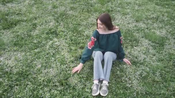 Młoda Piękna Brunetka Dziewczyna Łonie Natury Polu Wśród Trawy Kwiatów — Wideo stockowe