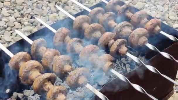 Mantarlar Ateşte Kızardı Lezzetli Sulu Izgara Sebzeler Mantarlı Sebze Kebabı — Stok video