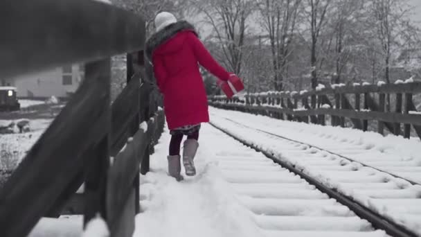 Weihnachtseinkäufe Und Ein Spaziergang Durch Den Winterlich Verschneiten Wald Roten — Stockvideo