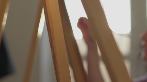 Талановита Інноваційна Художниця Малює Пензлем Полотні Тлі Заходу Сонця Сяє — стокове відео
