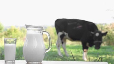 A natural vegetarian drink in the countryside. Fresh milk in carafe and glass on a wooden table with a cow in the background. A delicious breakfast diet made from dairy products. Farm natural product