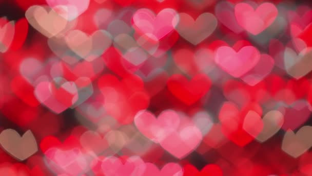 Many Red Hearts Concepmany Red Hearts Concept Valentines Day Anniversary — Stockvideo