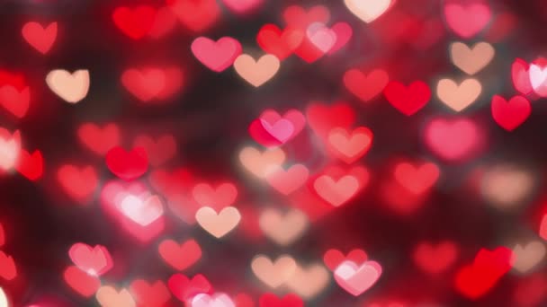 Many Red Hearts Concepmany Red Hearts Concept Valentines Day Anniversary — Wideo stockowe