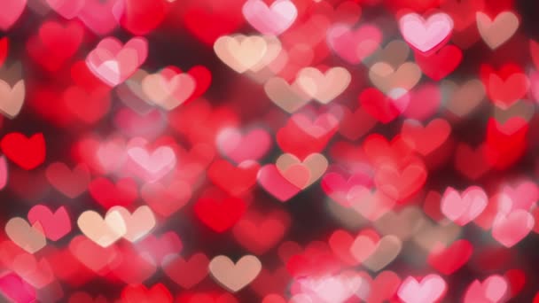 Many Red Hearts Concepmany Red Hearts Concept Valentines Day Anniversary — Video