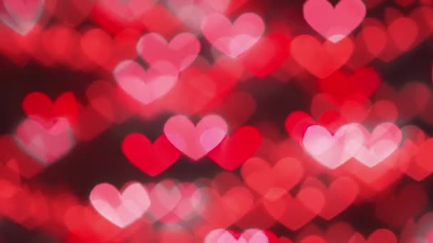 Many Red Hearts Concepmany Red Hearts Concept Valentines Day Anniversary — Wideo stockowe