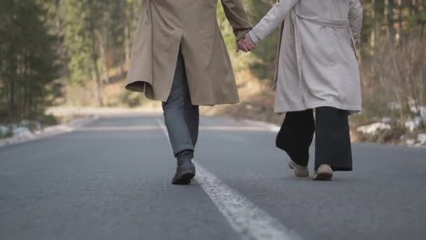 Romantic Couple Walking Highway Mountains Forest Man Takes Woman Hand — Αρχείο Βίντεο