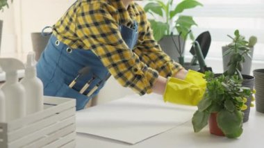 Doğa sevgisi: kapalı alandaki bitkilerin zarif tencerelere ihtiraslı bir naklini gösteren bir video, onlarla ilgilenmenin gerçek bir hobi, rahatlama, rahatlama ve doğayla uyum olduğunu vurguluyor. Yüksek