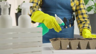 Video görüntüleri, bir kadının mikro yeşilliklerine ne kadar düşkün olduğunu gösteriyor. Yemekleri için taze ve besleyici malzemeler yaratıyor. El spreyi şişesinden sulandırmak ve nemlendirmek