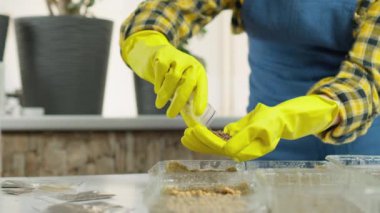 Video parçası, özenli bir kadının mikroyeşillik yetiştirip ona doğal ve sağlıklı bir bileşen verdiği bahçıvanlık dünyasına dalmayı öneriyor. Faydalı bitkilerin organik yetiştirilmesi