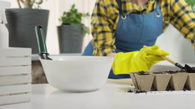 Bir kadın mutfağında taze yeşillikler yetiştirir. Bahçıvanlık için küçük bir spatula döker ve mikroyeşillik tohumları ekmek için toprağı hazırlar. Mavi önlük ve sarı eldivenlerle hobi olarak...