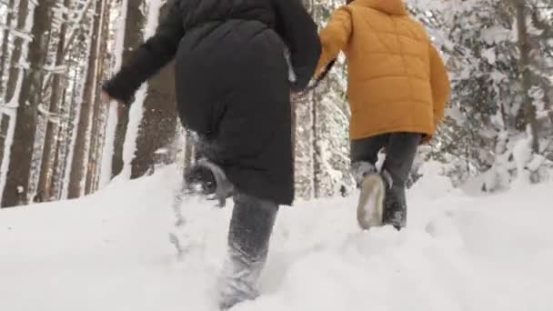 冬のおとぎ話がスクリーンに映し出され 冬の森で屋外での共同レクリエーションを楽しんでいる若いカップルを示しています 雪の中を男と女が走り — ストック動画