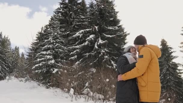 Волшебный Мир Снежной Красоты Открывается Влюбленной Паре Этом Увлекательном Видео — стоковое видео