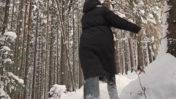 Winter Day Has Become Excellent Backdrop Happy Moments Young Couple — Stock Video