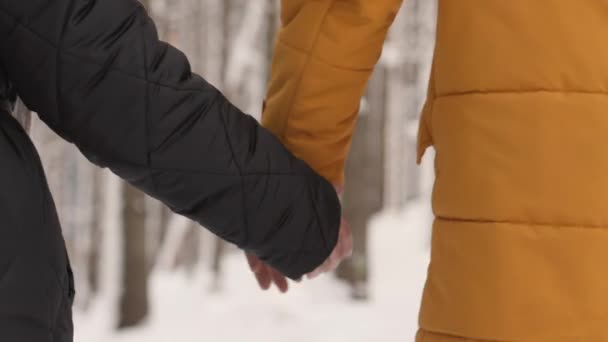一个男女关系中的男人和一个女孩在冬天的森林里散步时牵着手 两个情人的浪漫相遇 在冬季公园里的孤独 高质量的4K镜头 — 图库视频影像