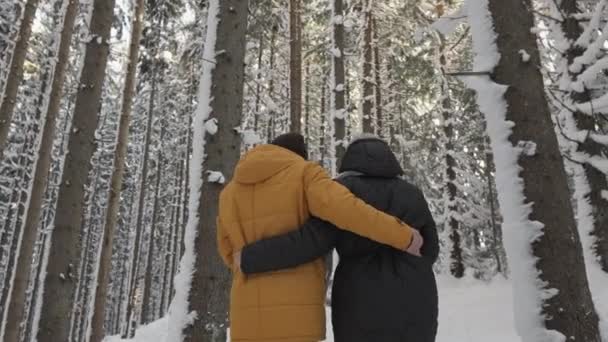 Ένα Νεαρό Ζευγάρι Μια Σχέση Περπατά Μέσα Στο Χειμερινό Δάσος — Αρχείο Βίντεο