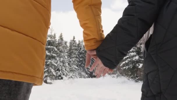 一个男人和一个女人被双手抓住和握住 在这个迷人的视频中 雪地之美的神奇世界展现了一对恋人的爱情 当双手接触时的亲密时刻 在一个 — 图库视频影像