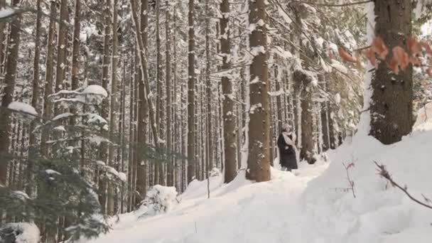 若いカップルは 愛と魂の離陸でいっぱいの冬の森を通ってエキサイティングな旅に出ています 雪に覆われた森の道を男と女が走る 冬の気分とキャッチアップ — ストック動画