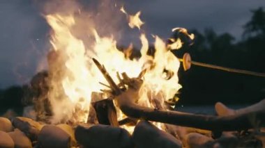 Video, bir grup gencin ateşin etrafında oturduğu, konuştuğu, yemek pişirdiği ve ateşin büyüsünün tadını çıkardığı bir gecenin duygusal atmosferini aktarıyor. Çubuklarda yemek pişir. Yüksek kalite 4k