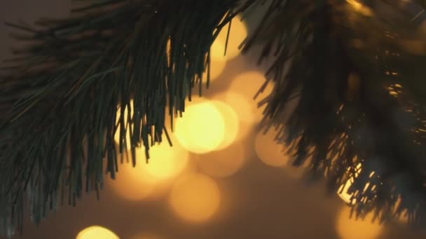 電球からのクリスマスツリーブランチの背後にある分割された光は あなたのクリスマスビデオの背景に祝祭の気分と多様性を追加します ライトボケが付いているビデオ映像は大きい装飾的になります — ストック動画