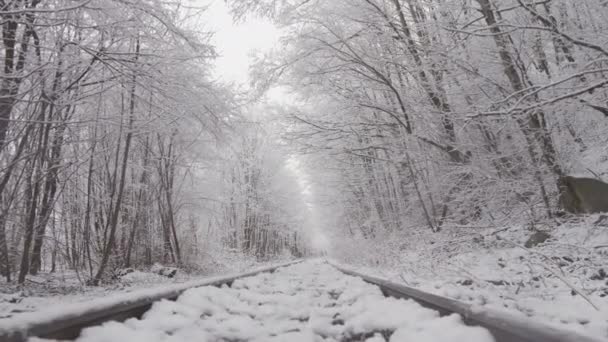 スペクトルグリッター 雪に覆われた森のビデオは 雪の寒い輝きと冬の季節の魅力で視聴者を魅了します カメラは鉄道の線路に沿って移動する 高品質4Kについて — ストック動画