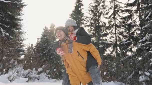 Zimowe Wakacje Ramionach Natury Brzmią Jak Zabawna Rozrywka Delikatne Chwile — Wideo stockowe