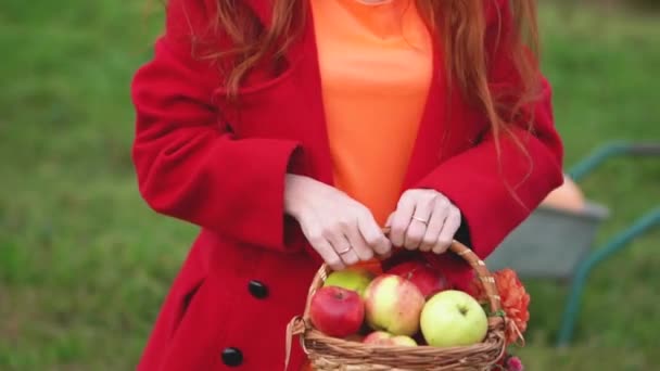 Sklizeň Podzim Žena Červeném Oblečení Pikniku Košíkem Organického Ovoce Zeleniny — Stock video
